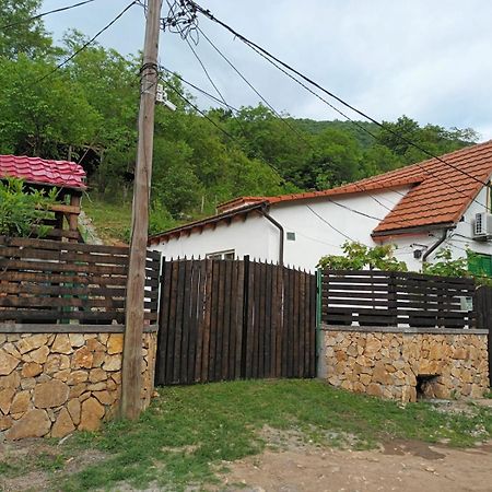 Andrei Villa Sasca Montană Dış mekan fotoğraf