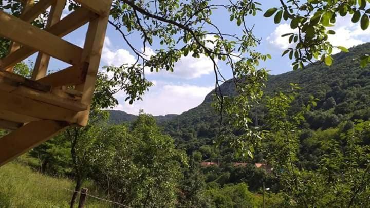 Andrei Villa Sasca Montană Dış mekan fotoğraf