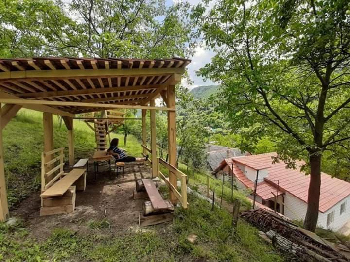 Andrei Villa Sasca Montană Dış mekan fotoğraf