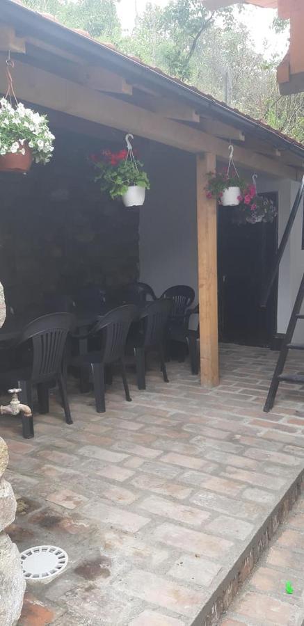 Andrei Villa Sasca Montană Dış mekan fotoğraf