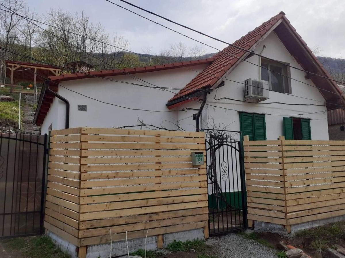 Andrei Villa Sasca Montană Dış mekan fotoğraf
