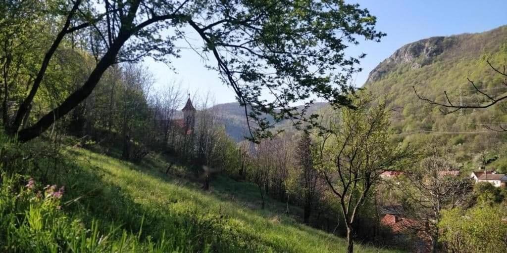 Andrei Villa Sasca Montană Dış mekan fotoğraf