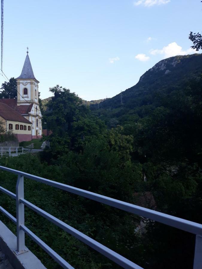 Andrei Villa Sasca Montană Dış mekan fotoğraf